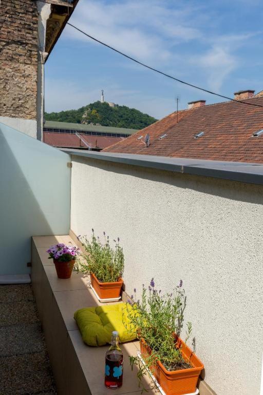 Erkel Rooftop Suites Budapest Exterior photo